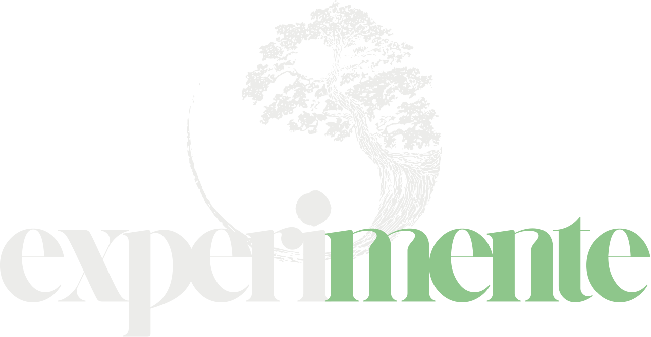 Logo Espaco Experimente